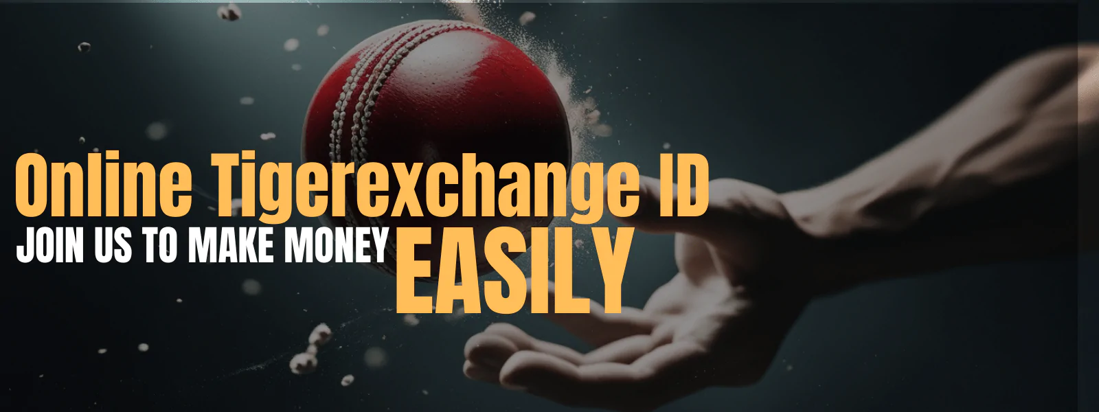 Cricket ball tossed in hand promoting Tigerexchange betting