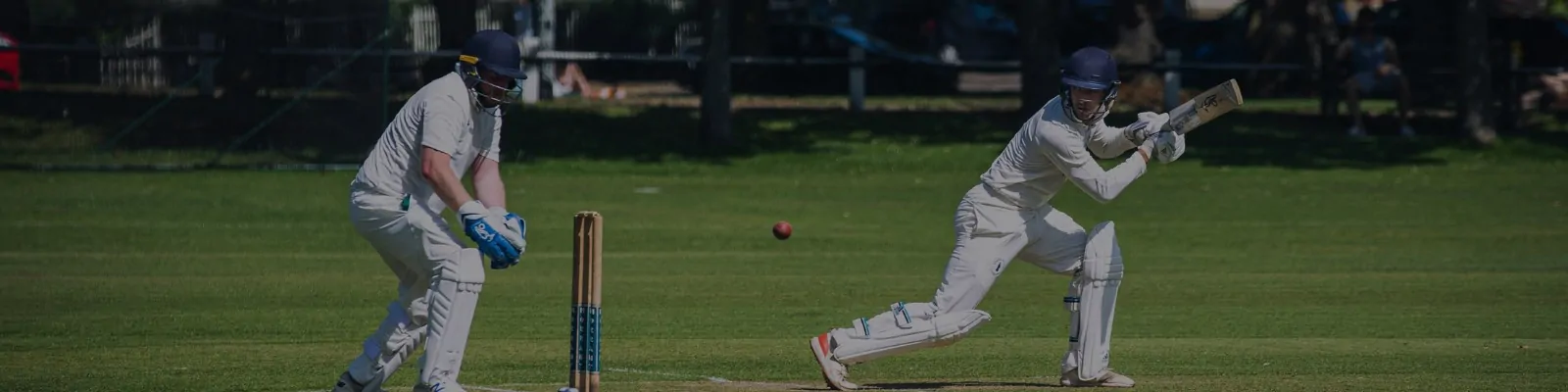 Secure Online Mahakal ID Provider cricket